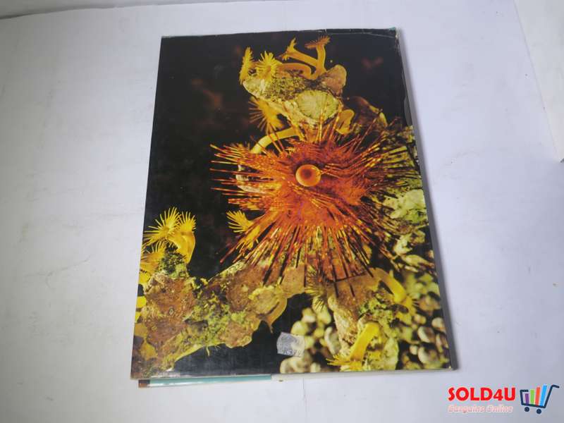 The Wonderful World of Life in the Sea - Andrew C. Campbell