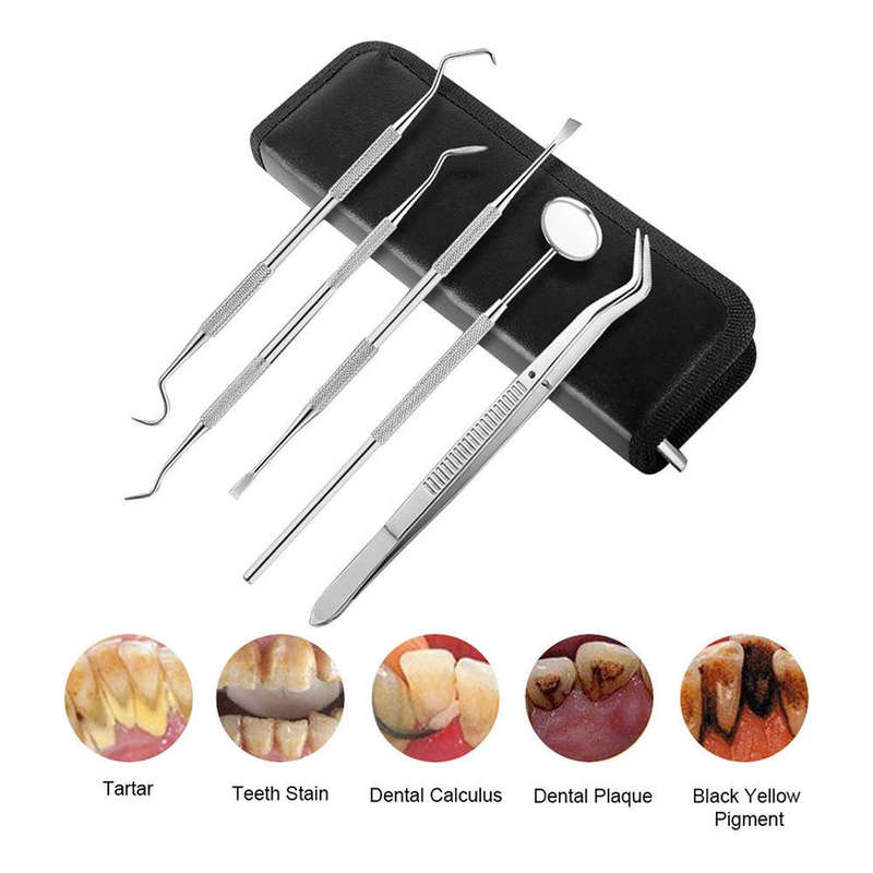 5 Pieces Professional Stainless Steel Dental Scaler Tools Kit Set in a Zip pouch