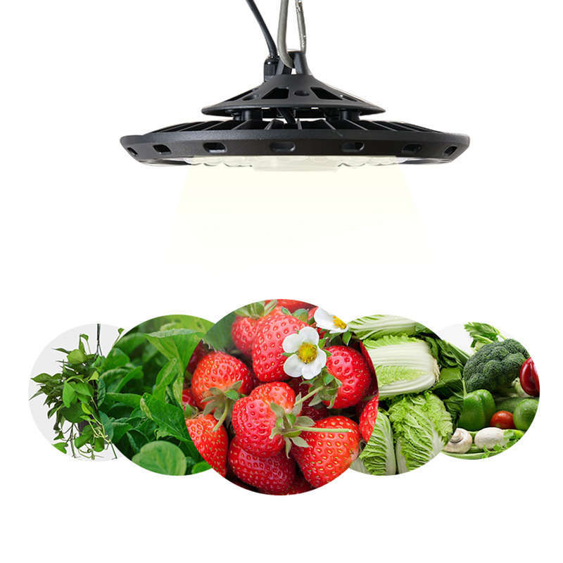 100W Full Spectrum UFO LED Grow Light for Greenhouse Plants
