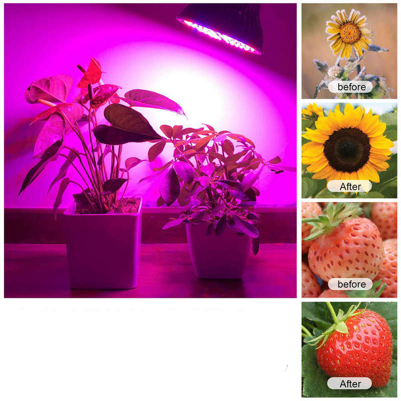 Full Spectrum 50W 78 LED Grow Light Bulb for Indoor Plants