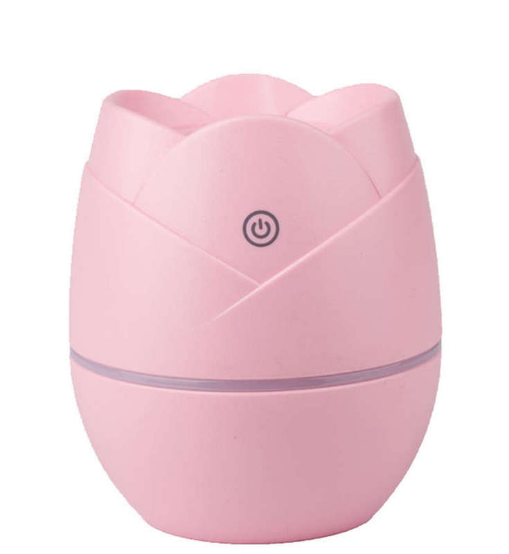 Rose Mini spray Humidifier USB powered
