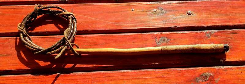 VINTAGE SHEEP WHIP FROM THE FARM