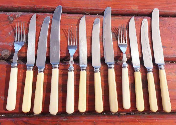 VINTAGE BONE HANDLE CUTLERY