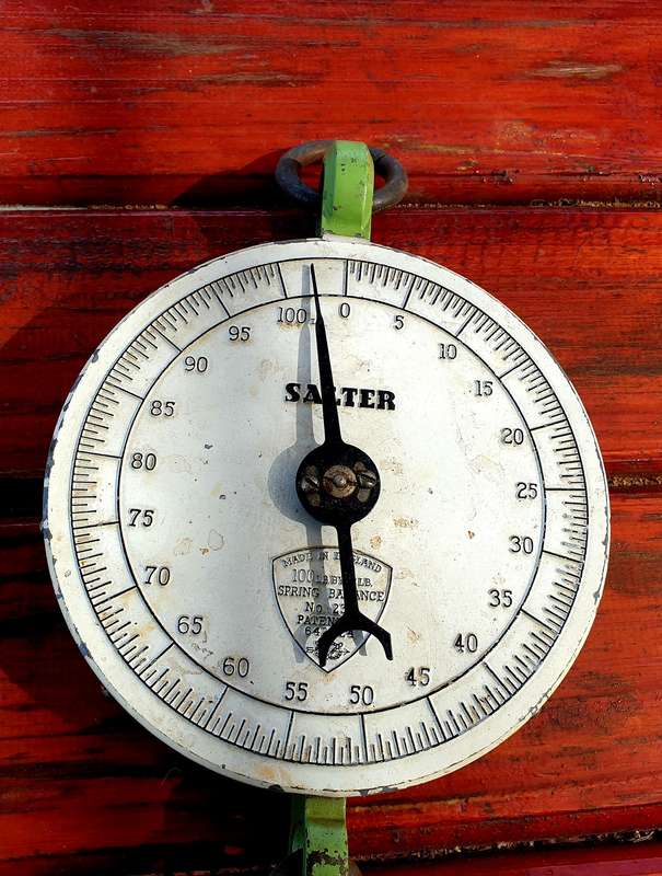 ANTIQUE CAST IRON SALTER 100LBS SCALE