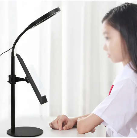 Hands Free Book Stand With Clips and LED Light for Reading