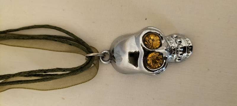 Unique Skull Pendant on Organza Chain