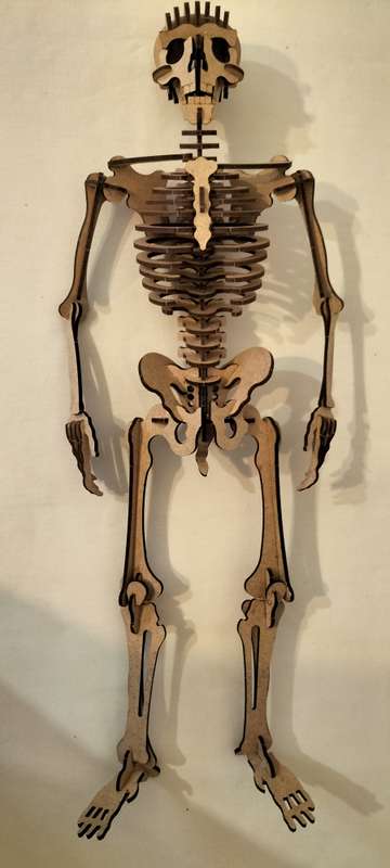 A Superb Complete Wooden Skeleton