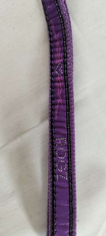 Authentic ROGZ Dog Leash Purple