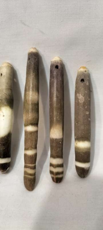 A Stunning Set of 7 Rare Sea Urchin Spines With Holes Drilled.- (SH29)
