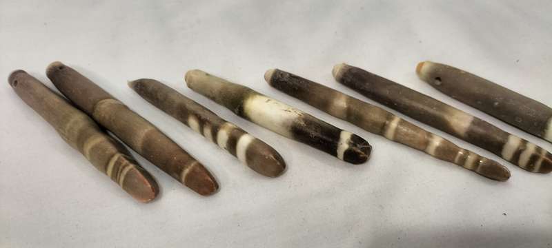 A Stunning Set of 7 Rare Sea Urchin Spines With Holes Drilled.- (SH29)