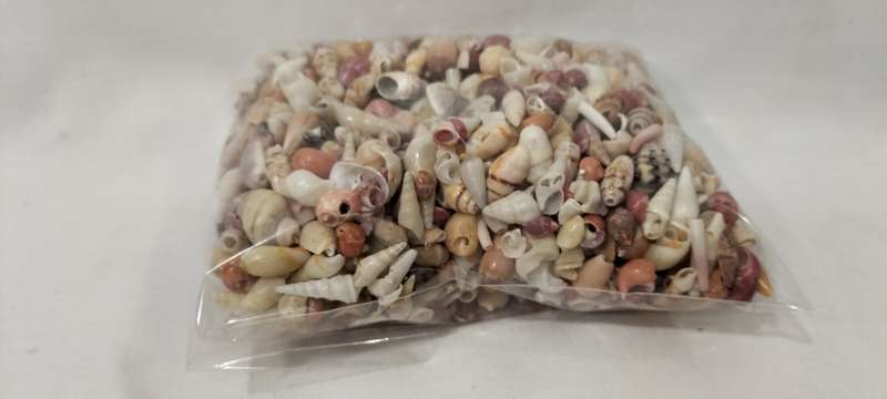 300 Grams of Small Various Types Shells for Jewelry and Crafts.- (SH30)