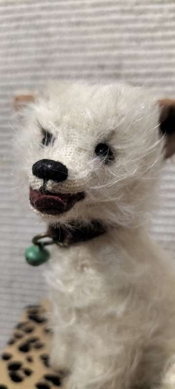 Genuine Rare Mohair Gizmo Bears `Mitch` Collectable Dog - Original Box And Birth Certificate