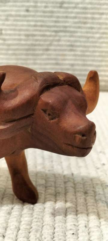A Magnificent Well Preserved Wood Carved Water Buffalo