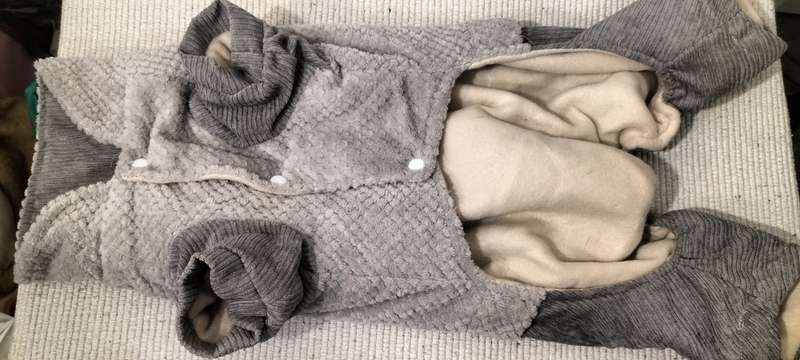 A Superior Quality Kimpetz Dog Onesie. Medium Dog