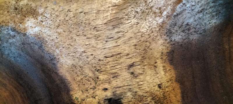 A Magnificent Well Preserved Belize Rosewood Fruit Bowl