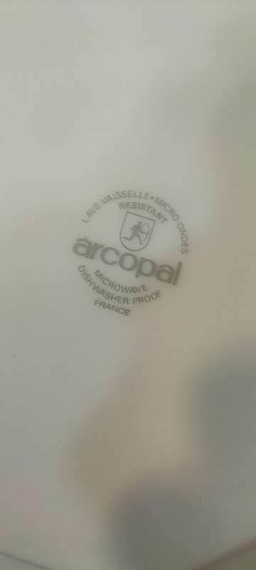 A Magnificent Huge Vintage Arcopal Serving Plate