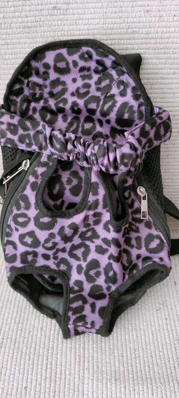 A Back Pack Carry Bag for a Small Dog