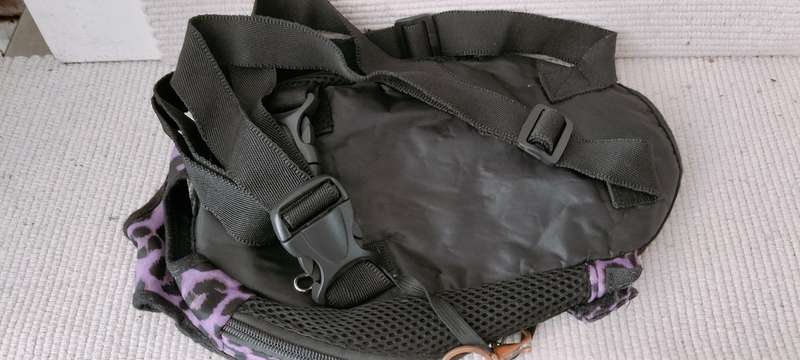 A Back Pack Carry Bag for a Small Dog