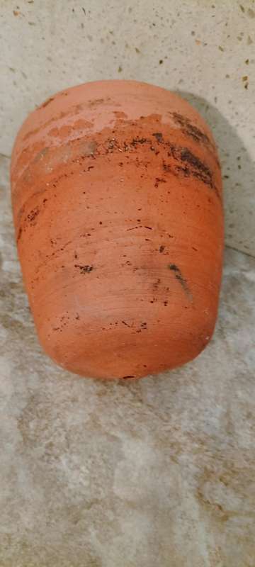 A Unique Heavy Terra Cotta Hanging Garden Decoration or Insect Home