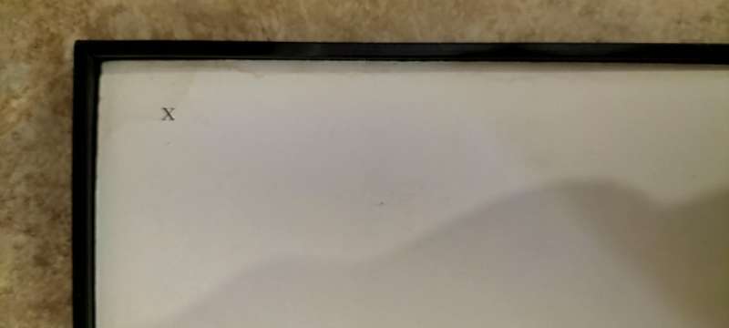 Genuine 1948 Hermann Rorschach Psychometric Testing Plate (Plate X)