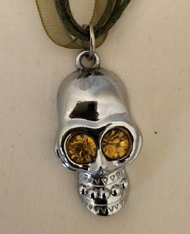 Unique Skull Pendant on Organza Chain