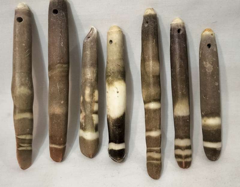A Stunning Set of 7 Rare Sea Urchin Spines With Holes Drilled.- (SH29)