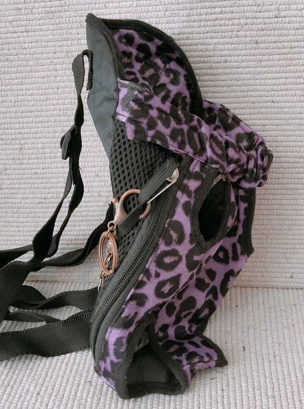 A Back Pack Carry Bag for a Small Dog