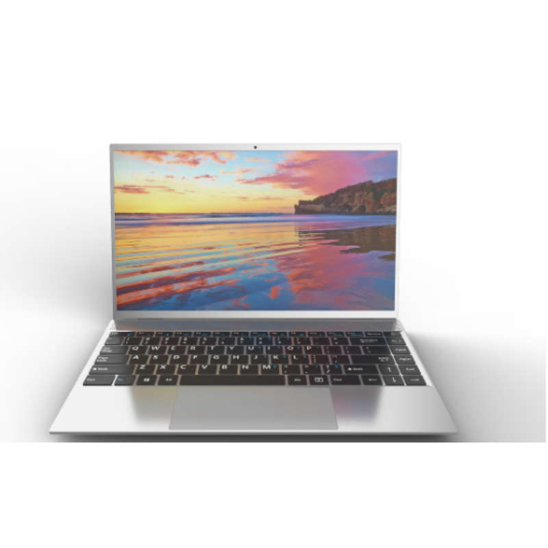 Proline-PC Intel Celeron CPU v146env 12.5 inch N3060  @ 1.60GHz  1.60 GHz 4,00 RAM 64-bit Windows 10