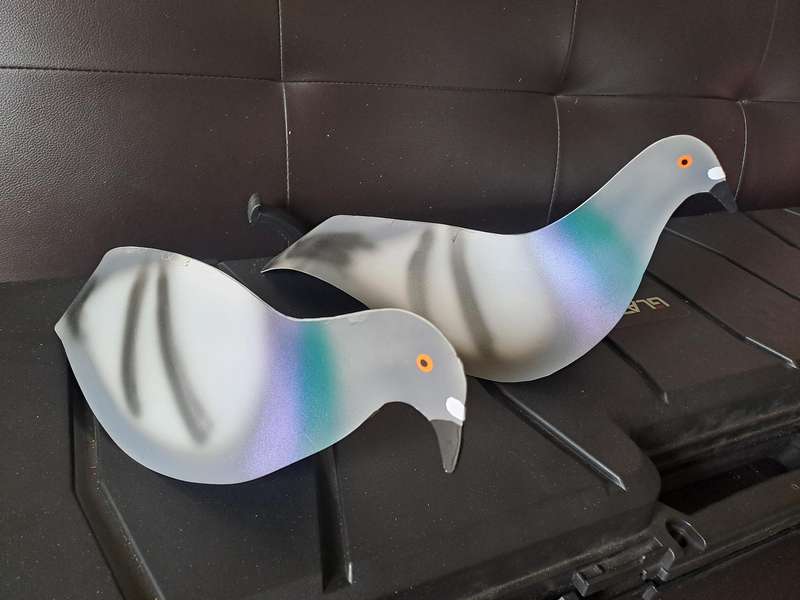 Pigeon Decoys