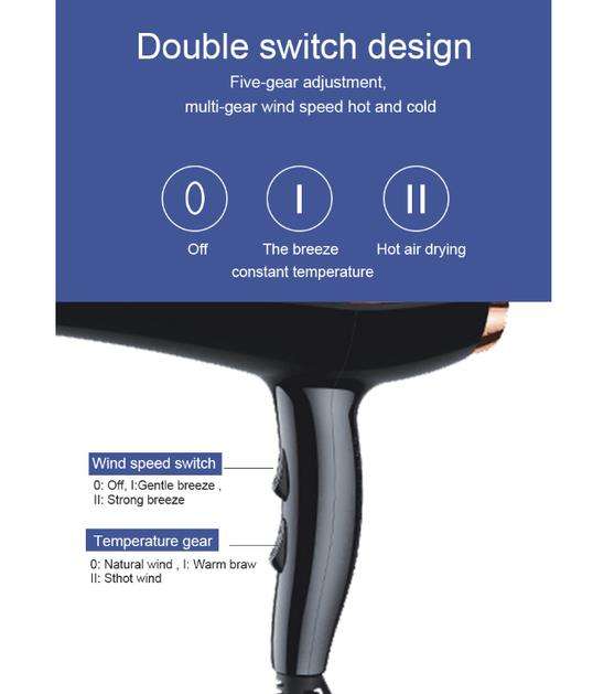 3000W GW Hairdryer