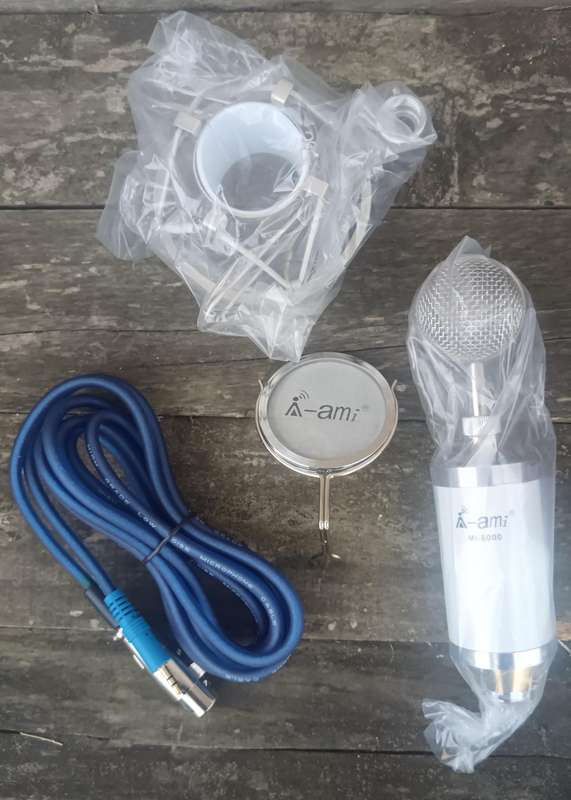 Professional Studio Microphone