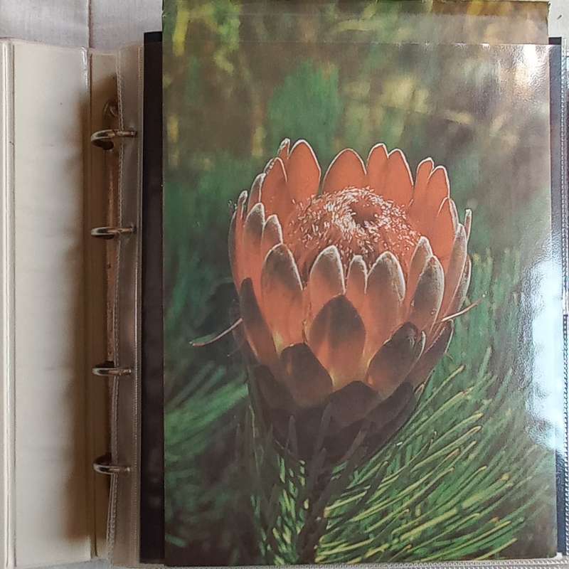 FDC Album - 20 Double-sided Album Pages - Includes RSA FDC's, Comms & DS Cards