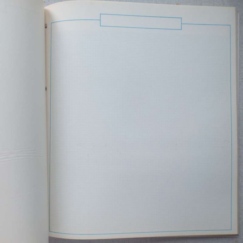 Blank Stamp Album Pages - 40 Pages with Glassine Protective Sheets