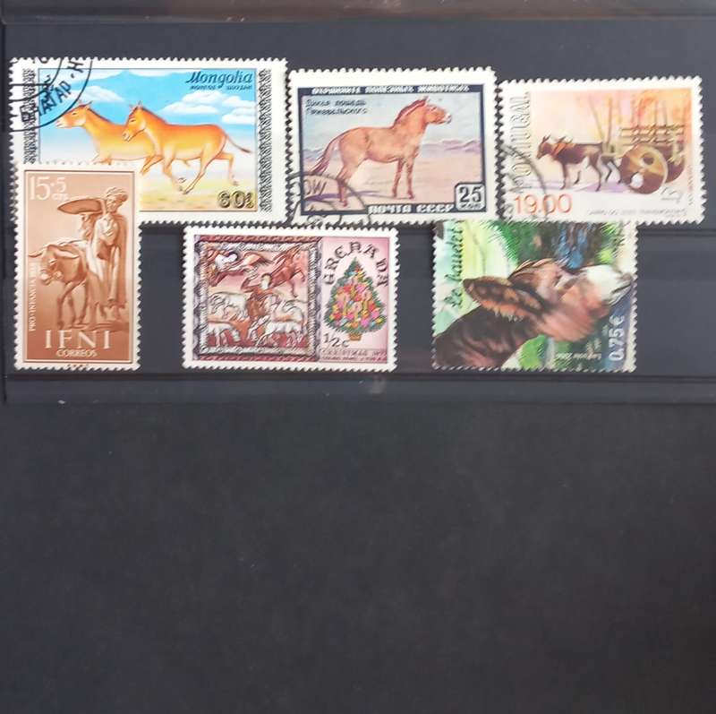 Thematics - Donkeys - 6 stamps - no duplication