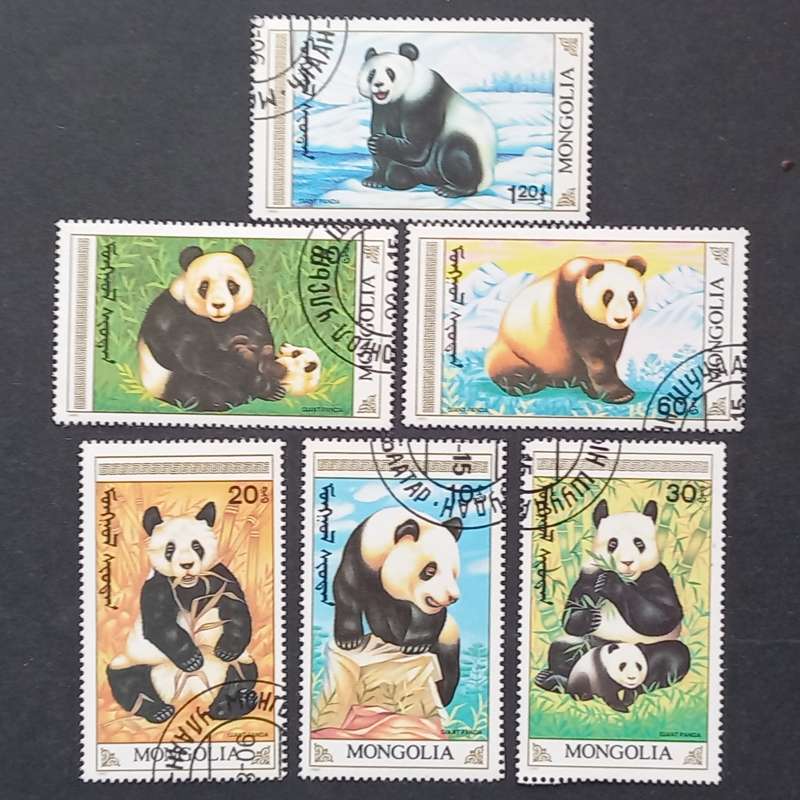 Thematics - The Giant Panda - Six Singles - CTO