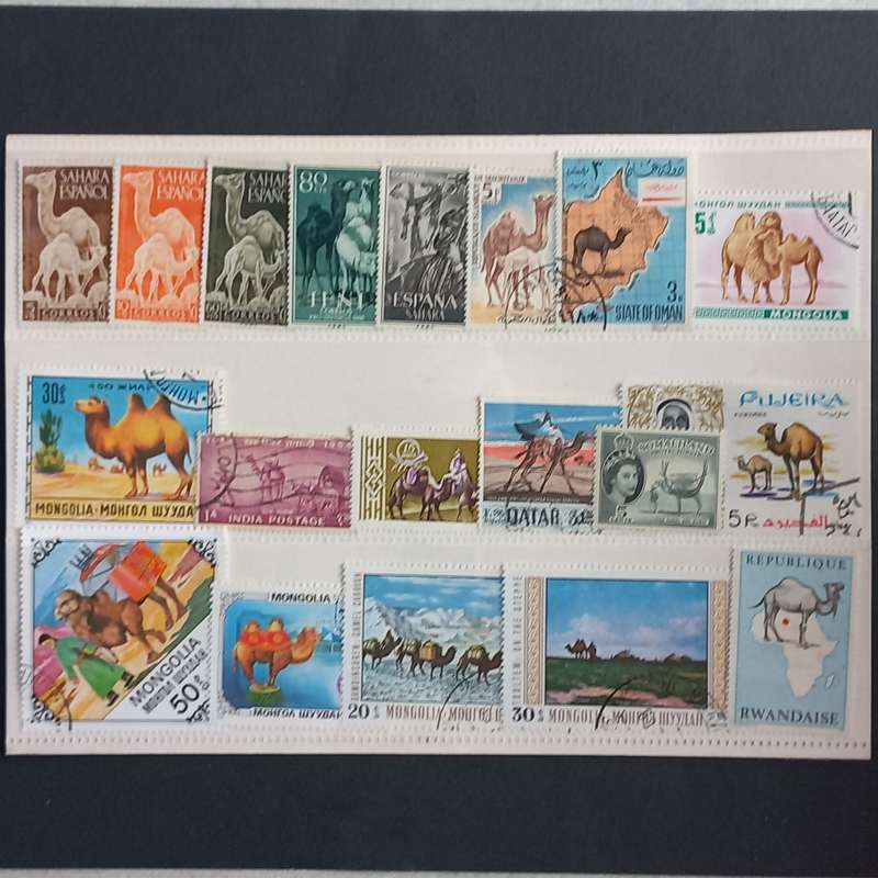 Thematics - Camels - 19 stamps - No duplication