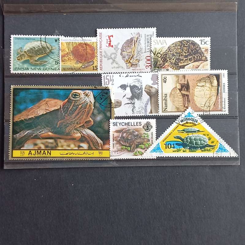 Thematics - Tortoises & Turtles - 9 stamps - No duplication