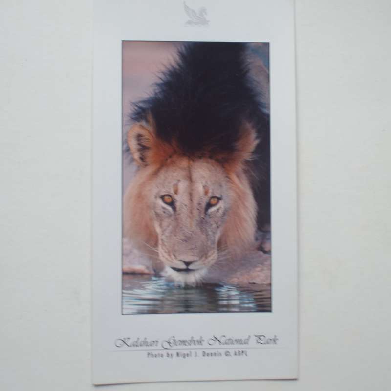 RSA - Selection of 5 Readers Digest Postcards - Unposted