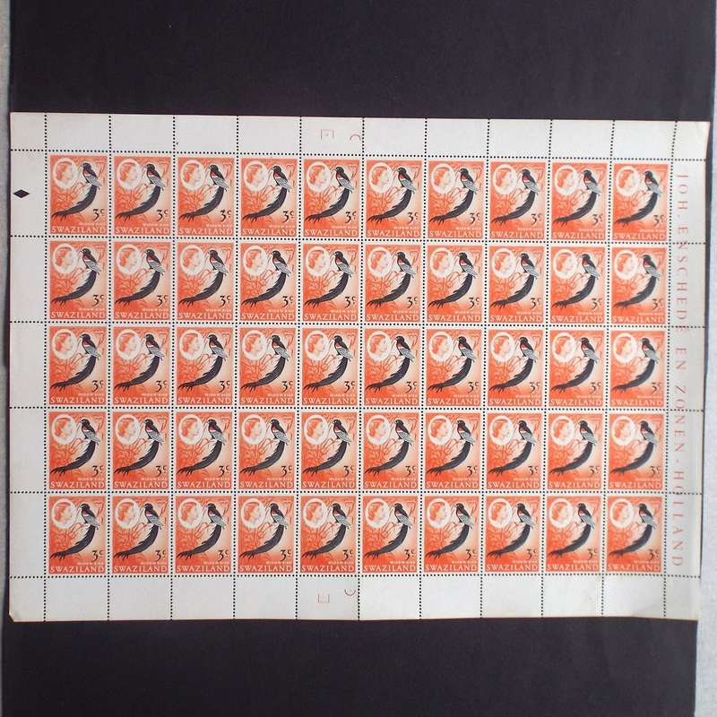Swaziland - 1968 Addt Value to Defin Issue - 3c on 5c Long Tailed Widow Bird - Full Sheet of 50