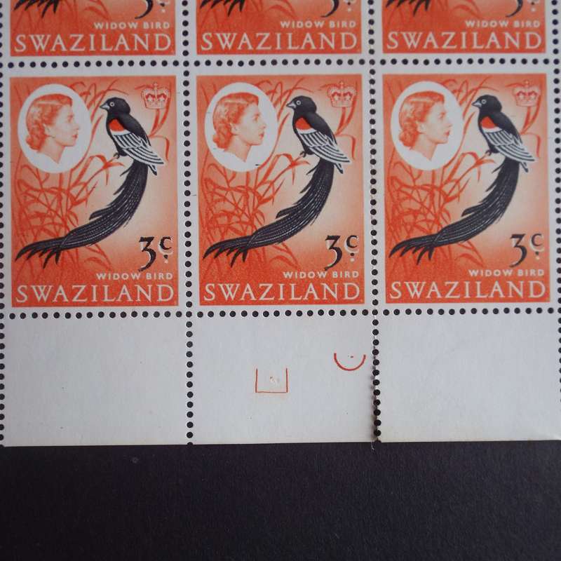 Swaziland - 1968 Addt Value to Defin Issue - 3c on 5c Long Tailed Widow Bird - Full Sheet of 50
