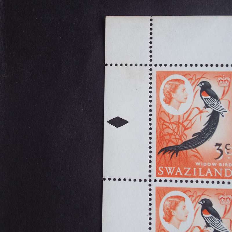 Swaziland - 1968 Addt Value to Defin Issue - 3c on 5c Long Tailed Widow Bird - Full Sheet of 50