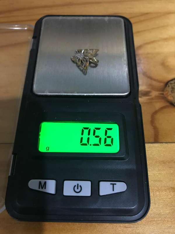 Solid 9ct Gold Butterfly Pendant