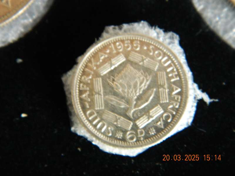 S. A. UNION   5 SHILLING  AND OTHER COINS  -    1955   -  ( 6 COINS IN DISPLAY BOX )