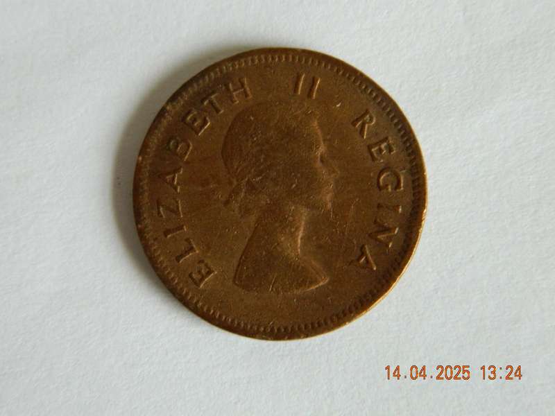 SOUTH AFRICAN  -    1957  -  1/2 PENNY COIN