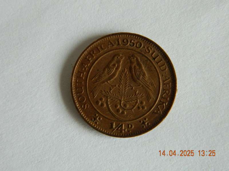 SOUTH AFRICAN  -    1950  -  1/4 PENNY COIN