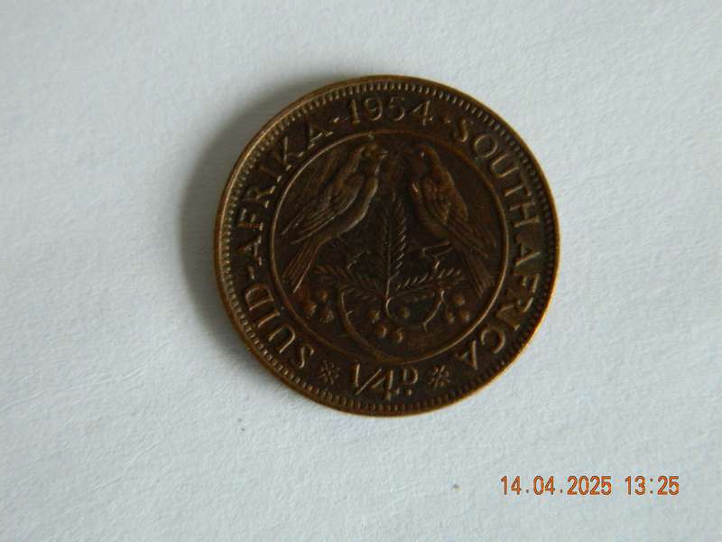 SOUTH AFRICAN  -    1954  -  1/4 PENNY COIN