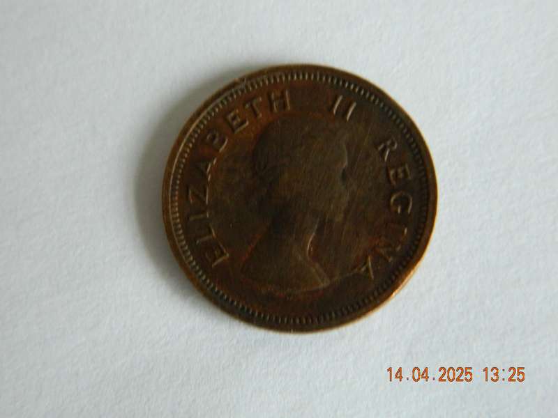 SOUTH AFRICAN  -    1954  -  1/4 PENNY COIN