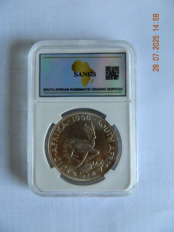 UNION OF SOUTH AFRICA  -  5 SHILLNG COIN  -  1956  GRADED