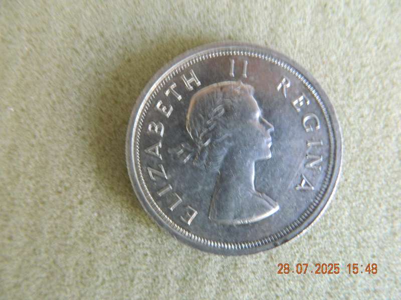 UNION OF SOUTH AFRICA  -  5 SHILLNG COIN  -  1953    -  CIRCULATED