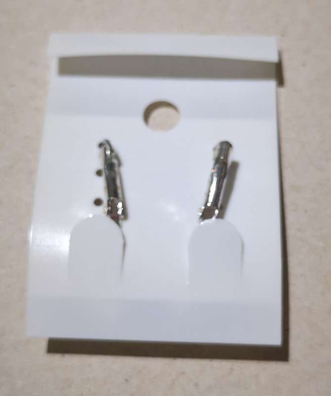 Silvery Fasion Earrings [New]